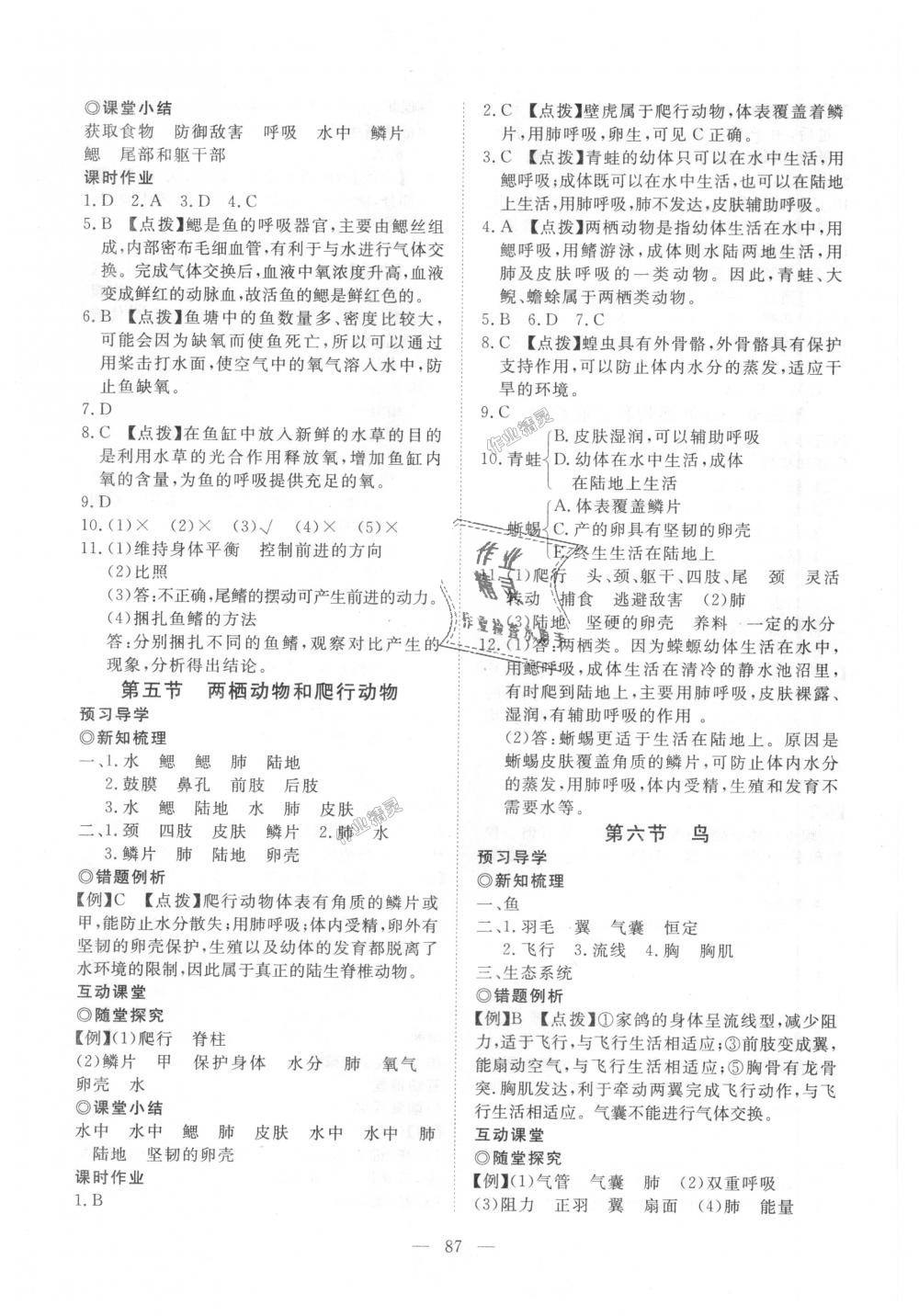 2018年351高效課堂導(dǎo)學(xué)案八年級生物上冊人教版 第3頁