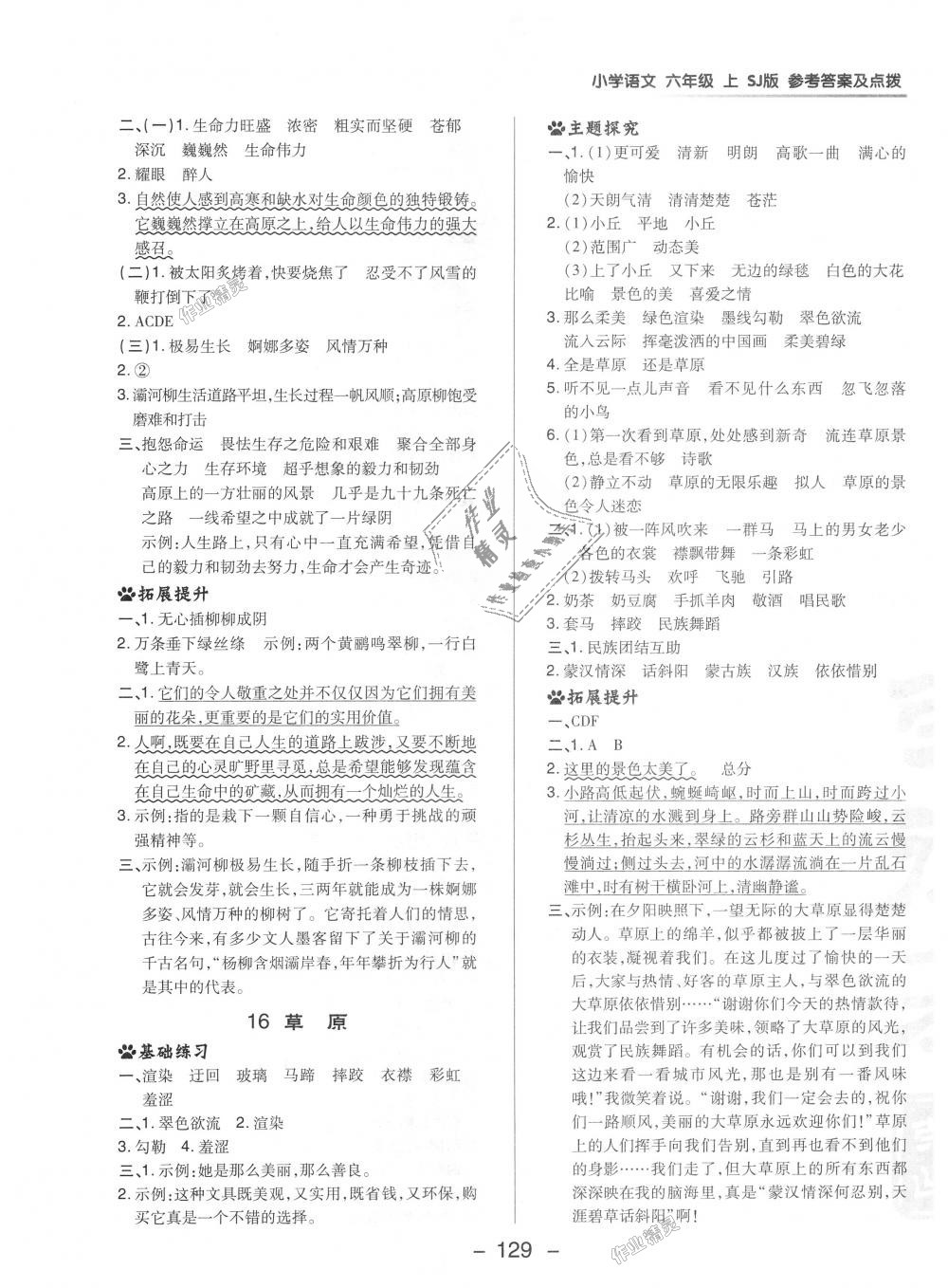 2018年綜合應(yīng)用創(chuàng)新題典中點六年級語文上冊蘇教版 第17頁