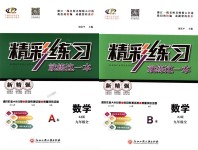 2018年精彩練習(xí)就練這一本九年級(jí)數(shù)學(xué)全一冊浙教版