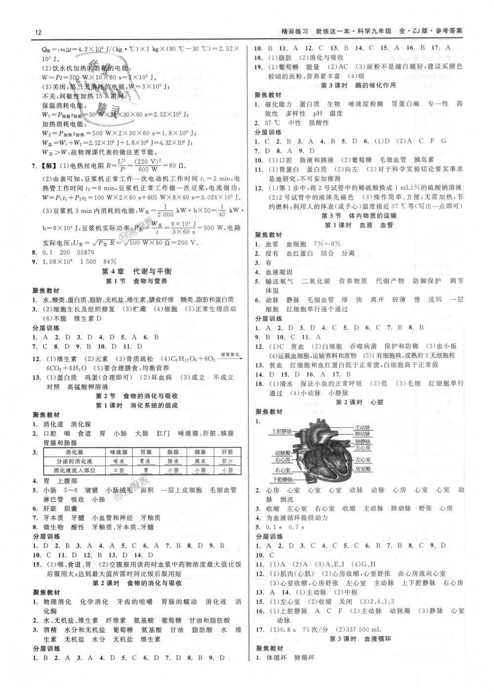 2018年精彩練習(xí)就練這一本九年級科學(xué)全一冊浙教版 第12頁