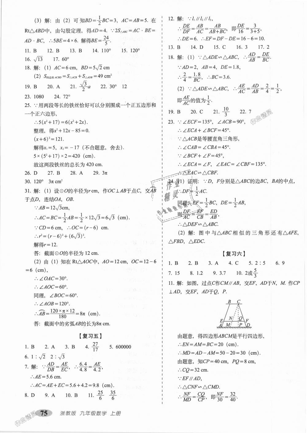 2018年聚能闖關(guān)期末復(fù)習(xí)沖刺卷九年級數(shù)學(xué)上冊浙教版 第3頁