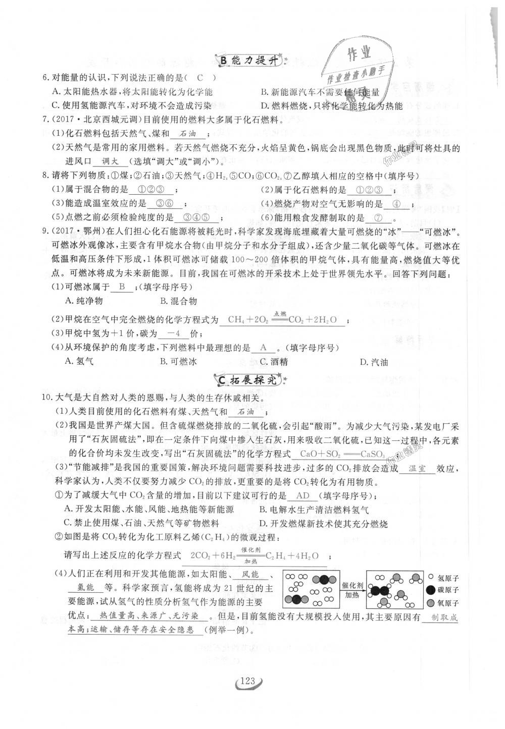 2018年思维新观察九年级化学上册人教版 第123页