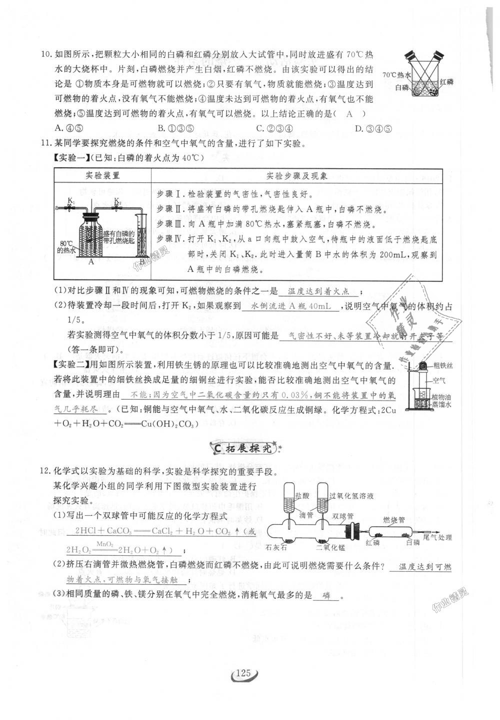 2018年思维新观察九年级化学上册人教版 第125页