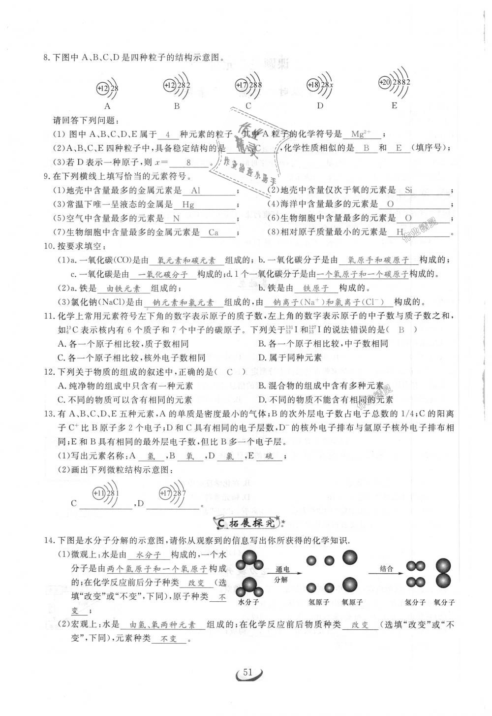 2018年思维新观察九年级化学上册人教版 第51页