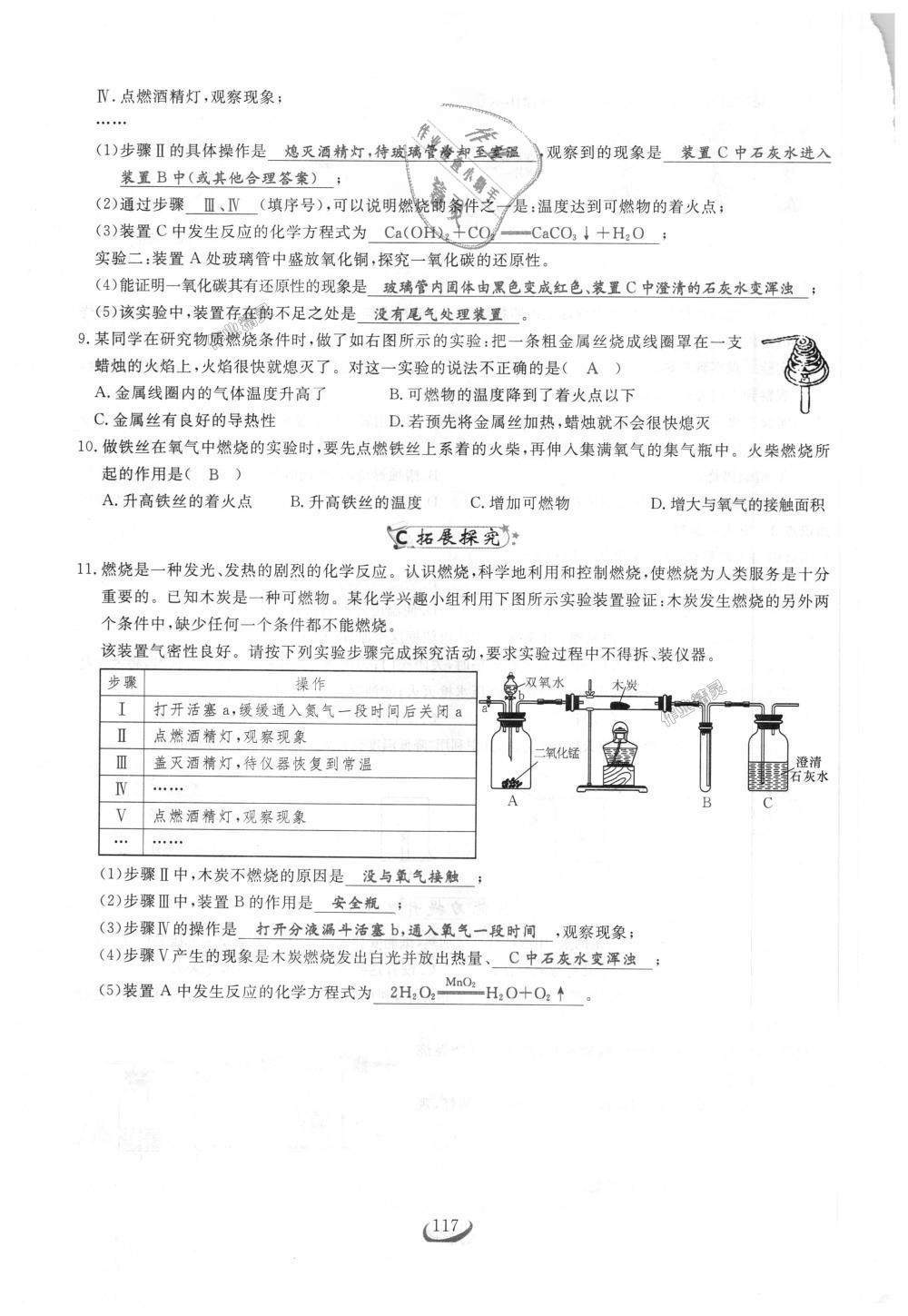 2018年思维新观察九年级化学上册人教版 第117页