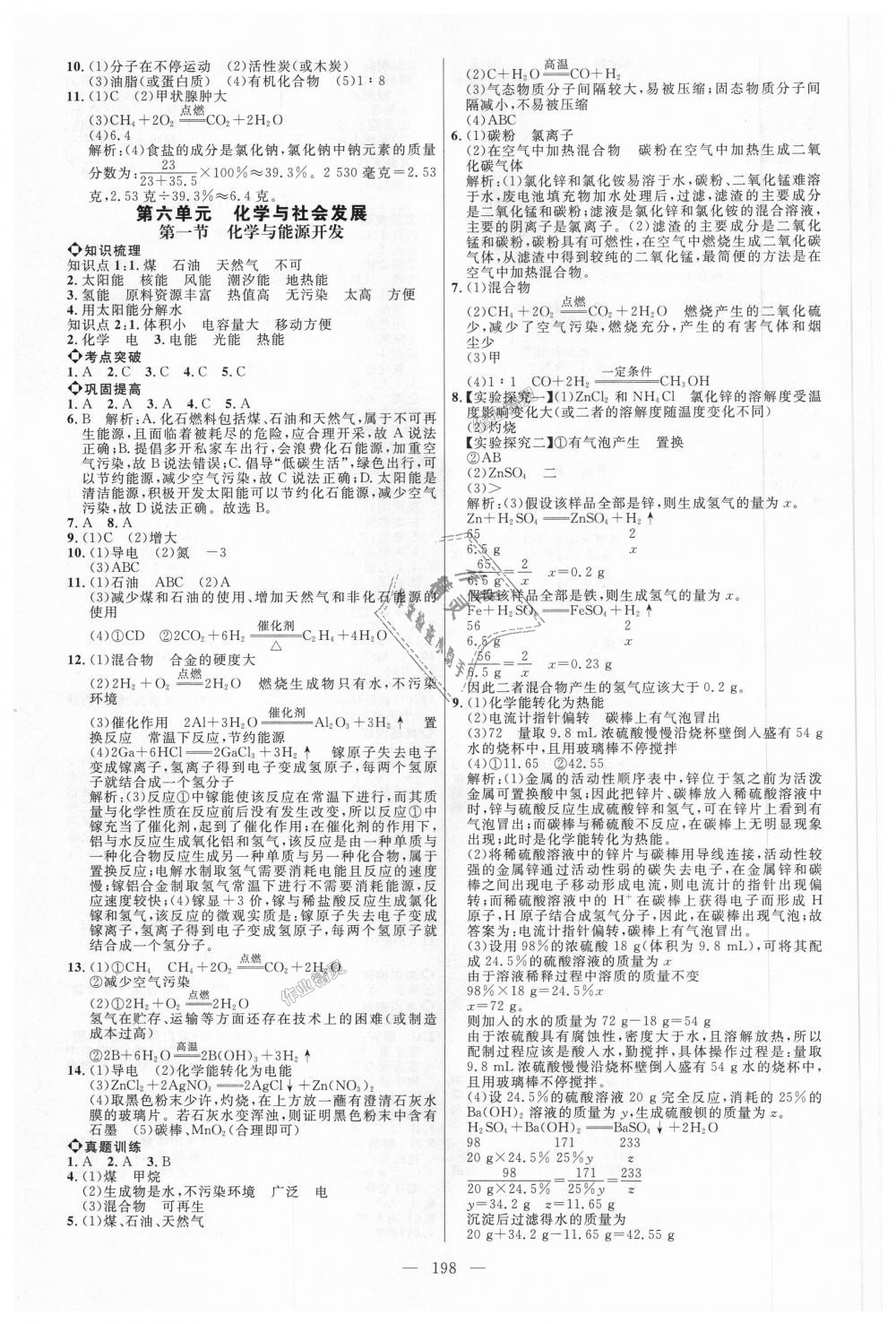 2018年细解巧练九年级化学全一册鲁教版 第17页