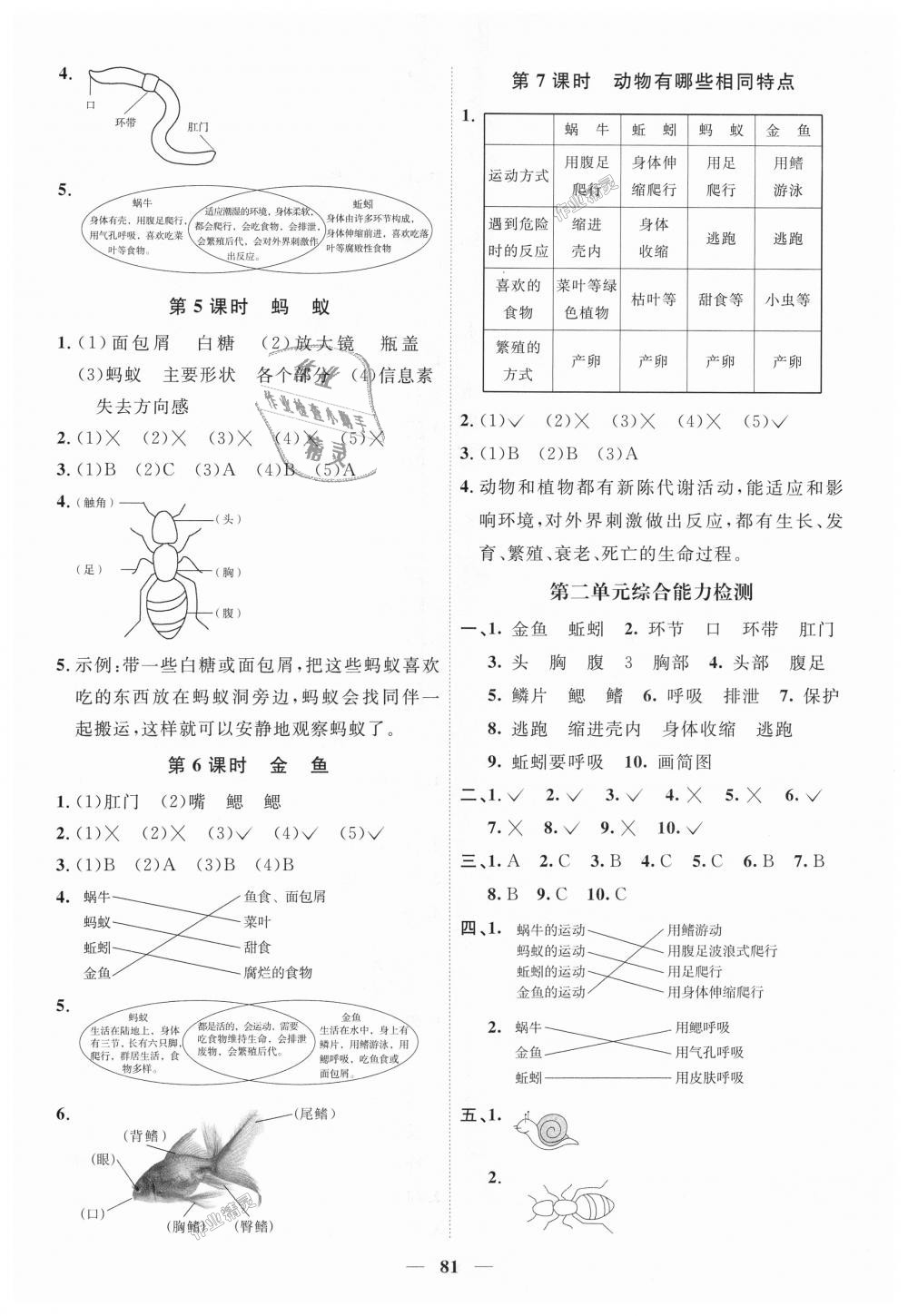 2018年陽(yáng)光同學(xué)課時(shí)優(yōu)化作業(yè)三年級(jí)科學(xué)上冊(cè)教科版 第3頁(yè)