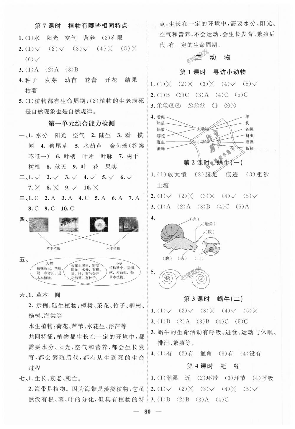 2018年陽(yáng)光同學(xué)課時(shí)優(yōu)化作業(yè)三年級(jí)科學(xué)上冊(cè)教科版 第2頁(yè)