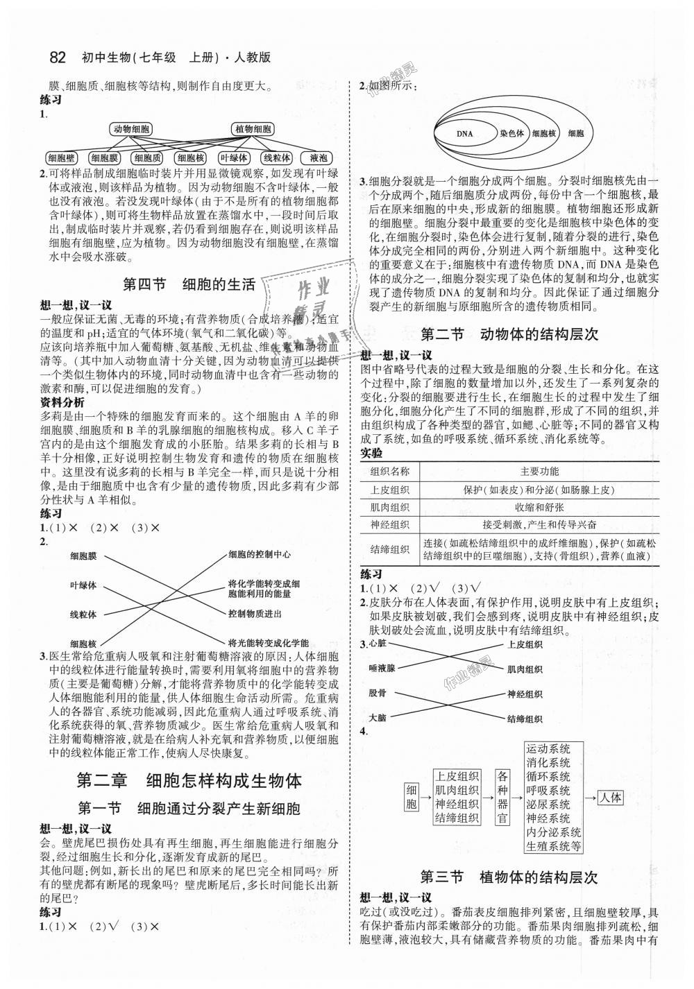 2018年5年中考3年模拟初中生物七年级上册人教版 第36页