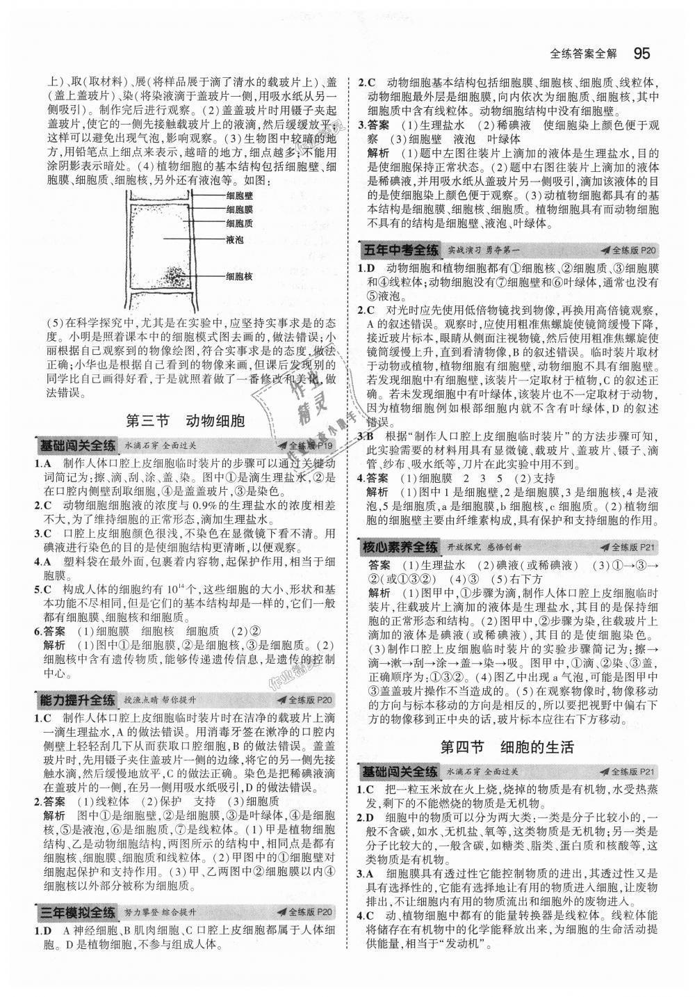 2018年5年中考3年模擬初中生物七年級上冊人教版 第9頁