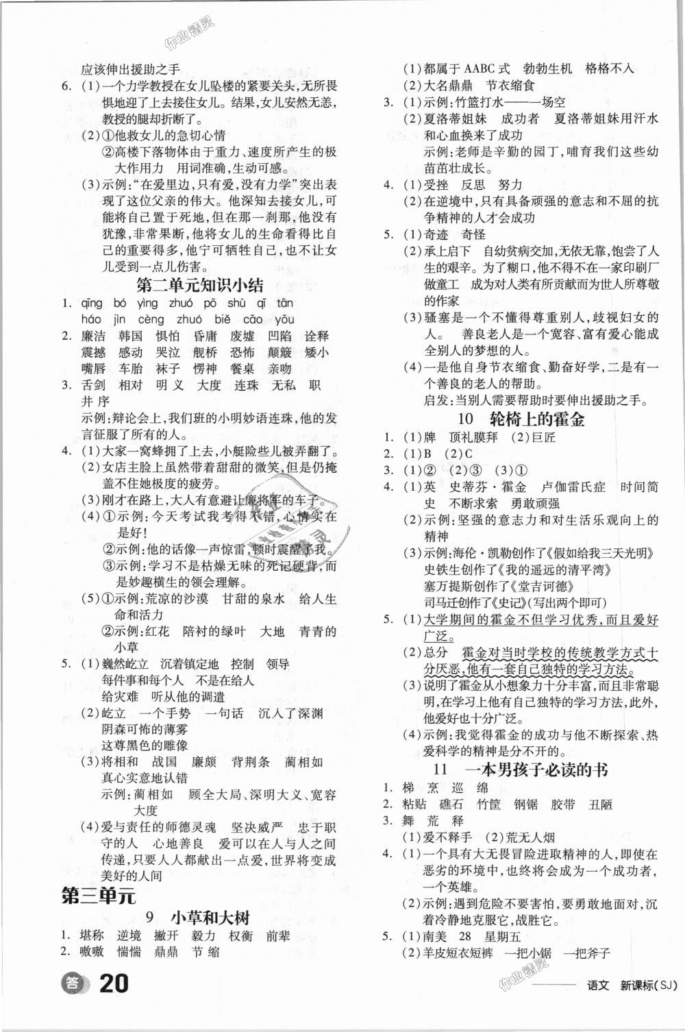 2018年全品學(xué)練考六年級(jí)語文上冊(cè)蘇教版 第3頁