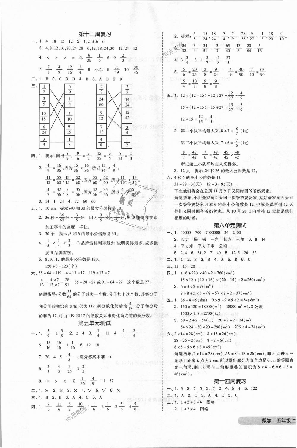 2018年全品小复习五年级数学上册北师大版 第5页