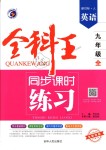 2018年全科王同步课时练习九年级英语全一册人教版