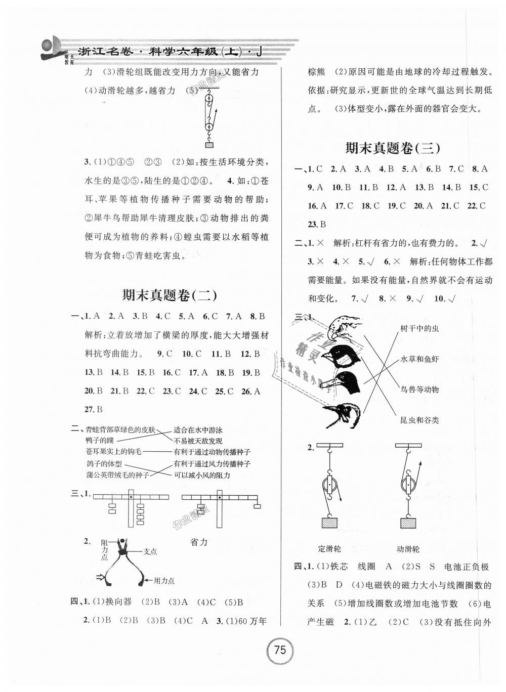 2018年浙江名卷六年级科学上册教科版 第7页