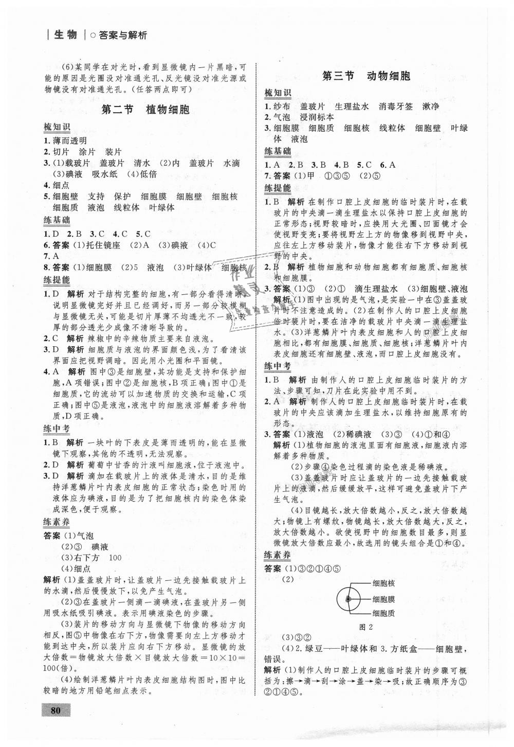 2018年初中同步學考優(yōu)化設計七年級生物上冊人教版 第6頁