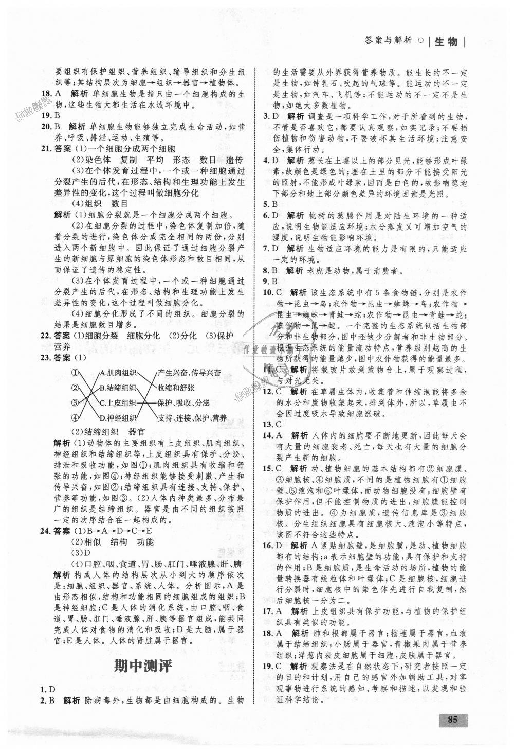 2018年初中同步學(xué)考優(yōu)化設(shè)計七年級生物上冊人教版 第11頁