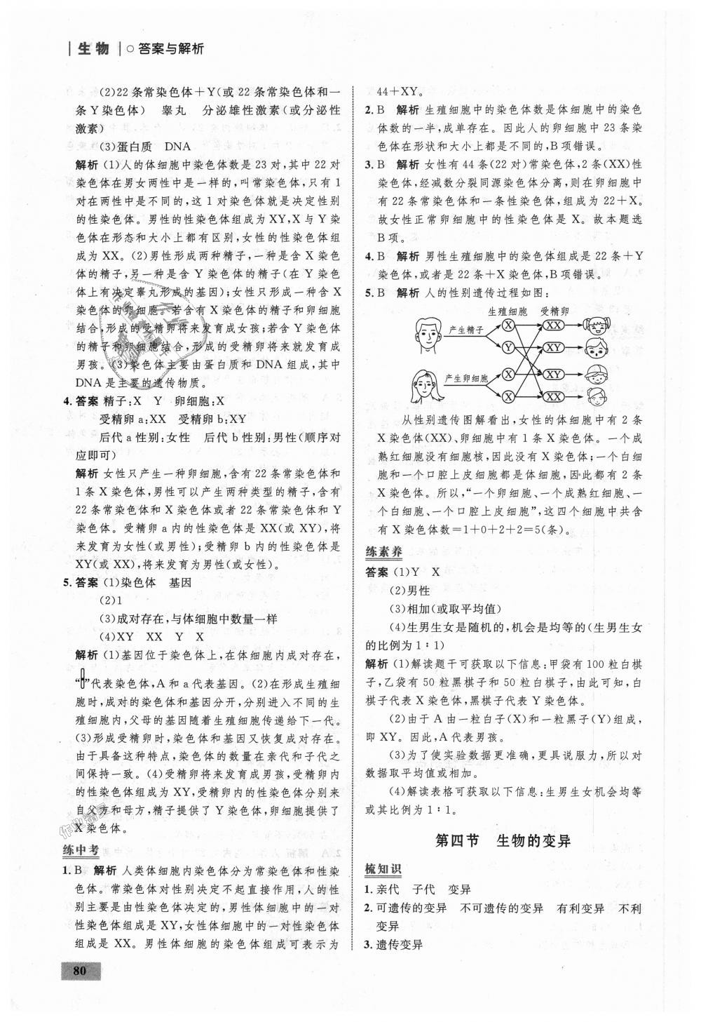 2018年初中同步学考优化设计八年级生物上册济南版 第22页