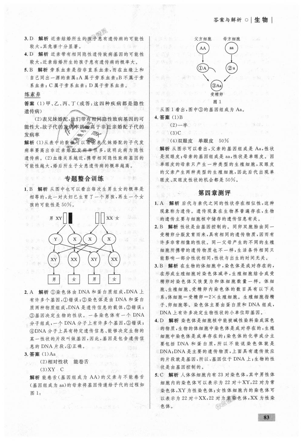 2018年初中同步學(xué)考優(yōu)化設(shè)計(jì)八年級(jí)生物上冊(cè)濟(jì)南版 第25頁(yè)