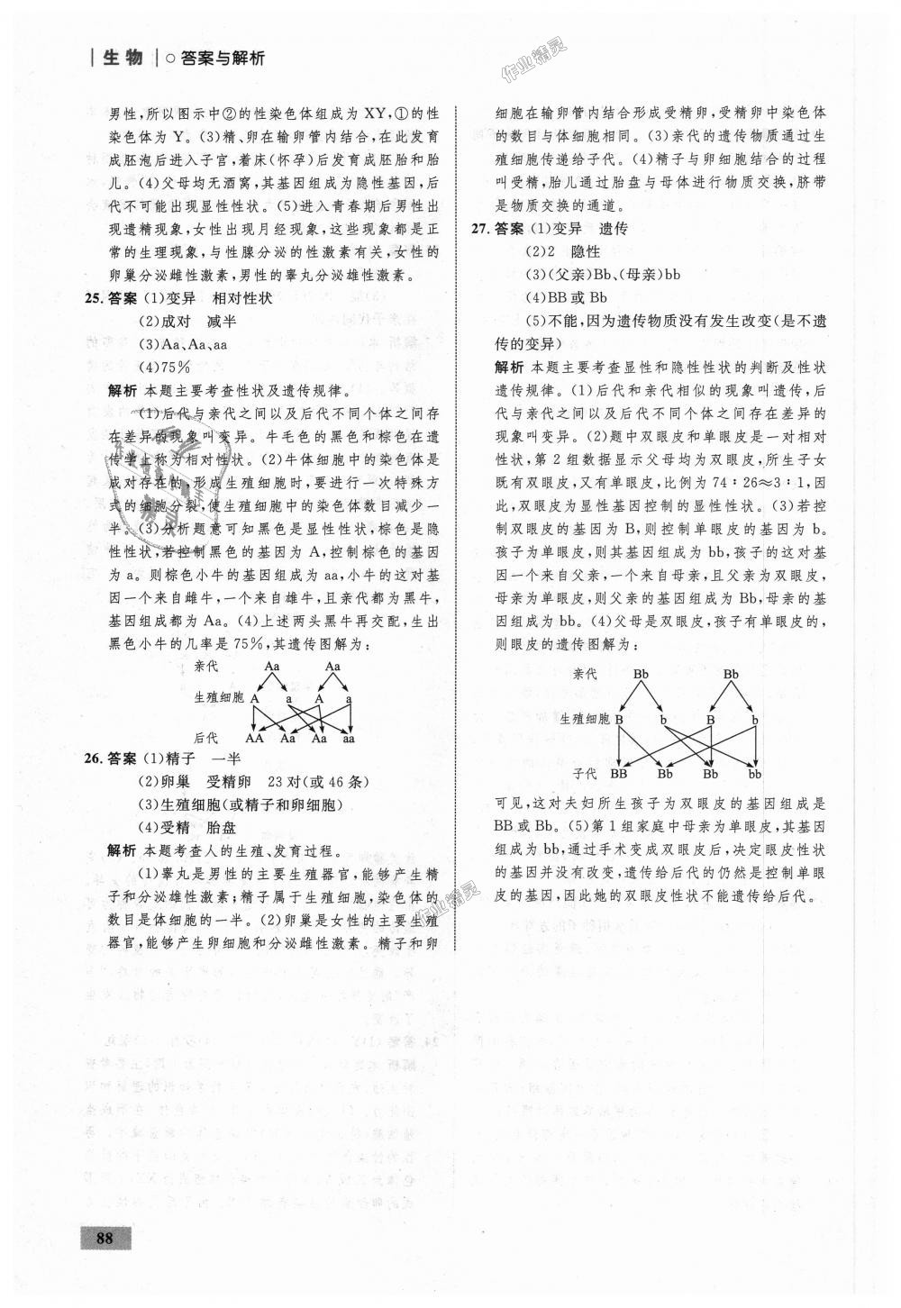 2018年初中同步學(xué)考優(yōu)化設(shè)計八年級生物上冊濟(jì)南版 第30頁