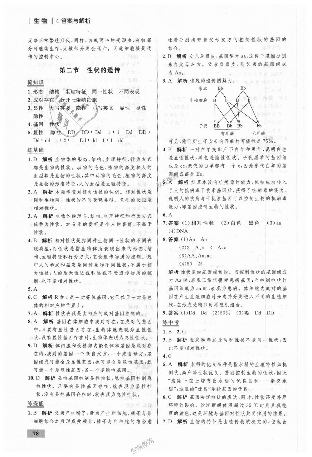 2018年初中同步學(xué)考優(yōu)化設(shè)計(jì)八年級生物上冊濟(jì)南版 第20頁