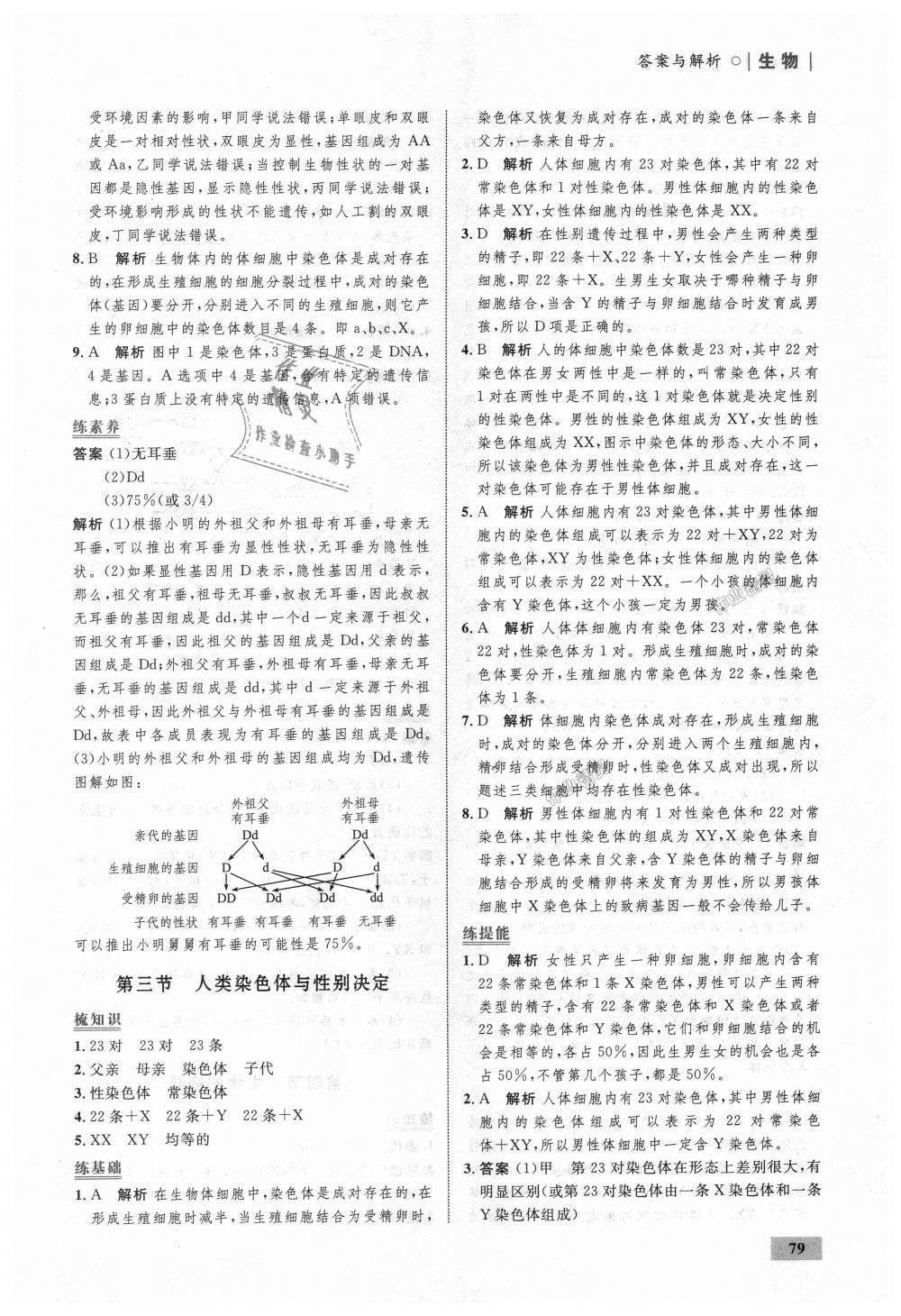 2018年初中同步學(xué)考優(yōu)化設(shè)計(jì)八年級(jí)生物上冊(cè)濟(jì)南版 第21頁(yè)