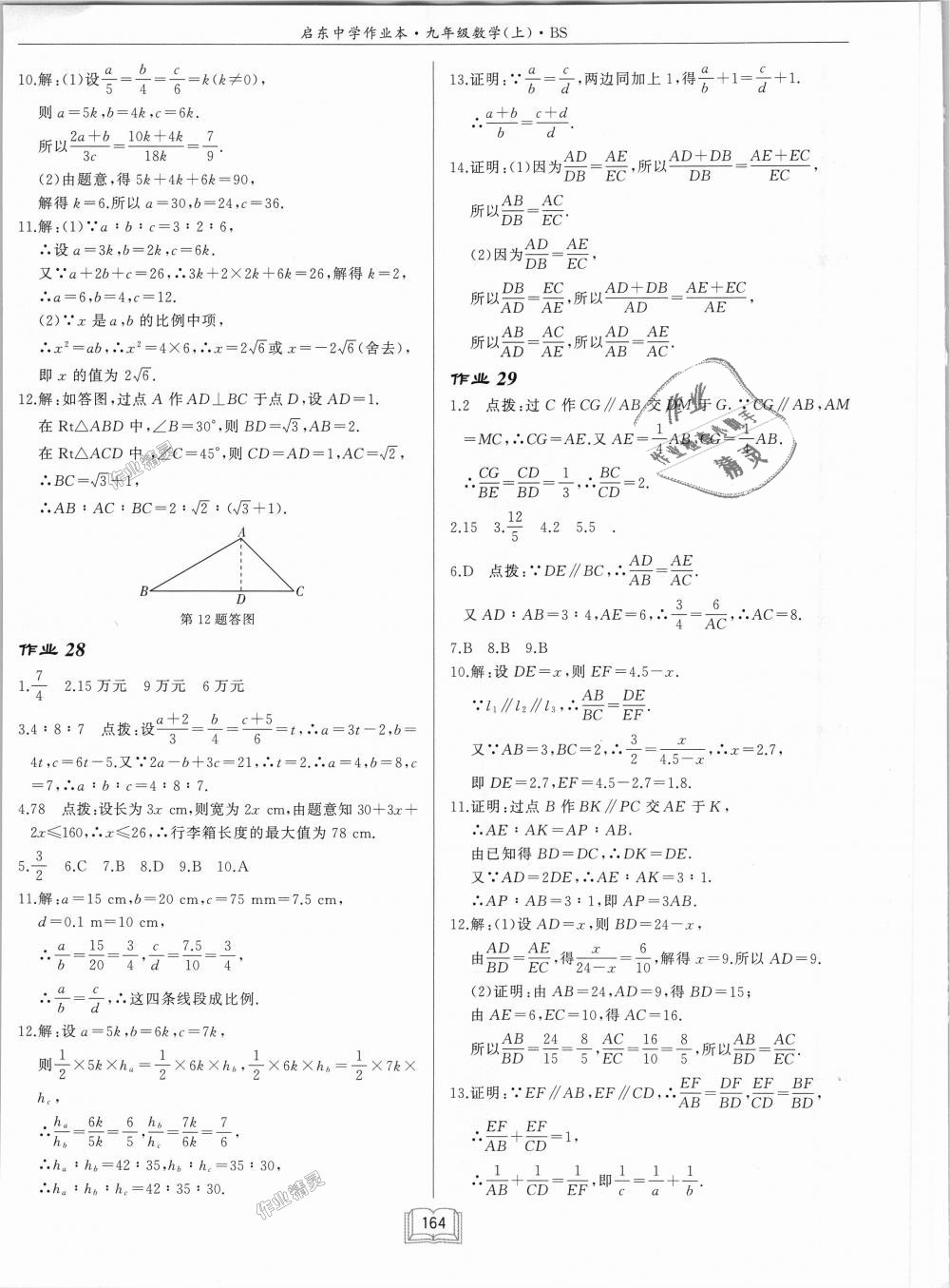 2018年啟東中學作業(yè)本九年級數(shù)學上冊北師大版 第20頁