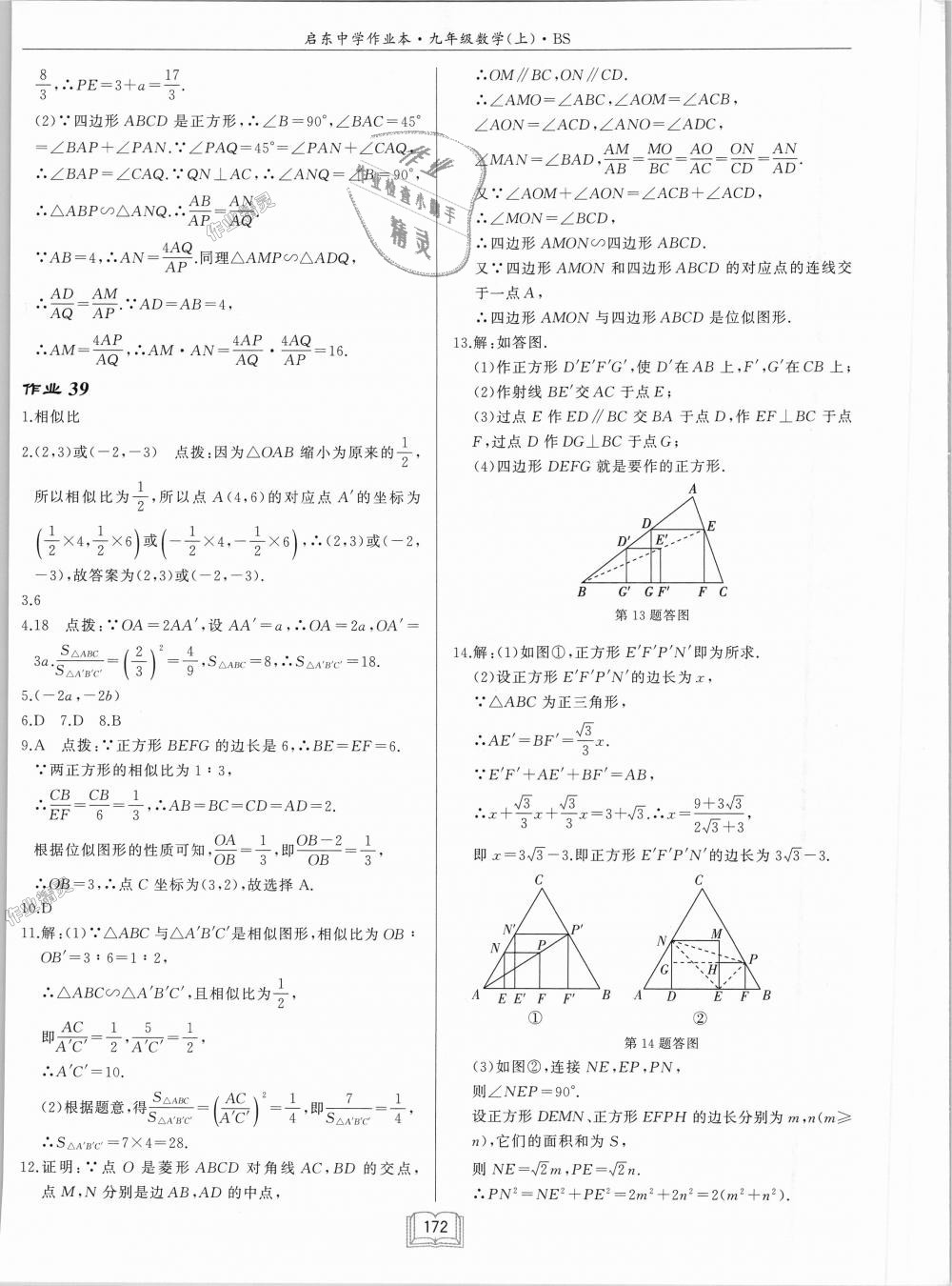 2018年啟東中學作業(yè)本九年級數(shù)學上冊北師大版 第28頁