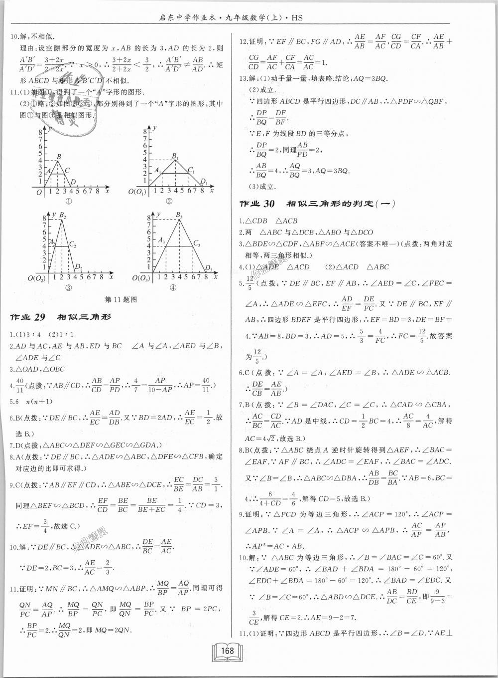 2018年啟東中學作業(yè)本九年級數(shù)學上冊華師大版 第14頁