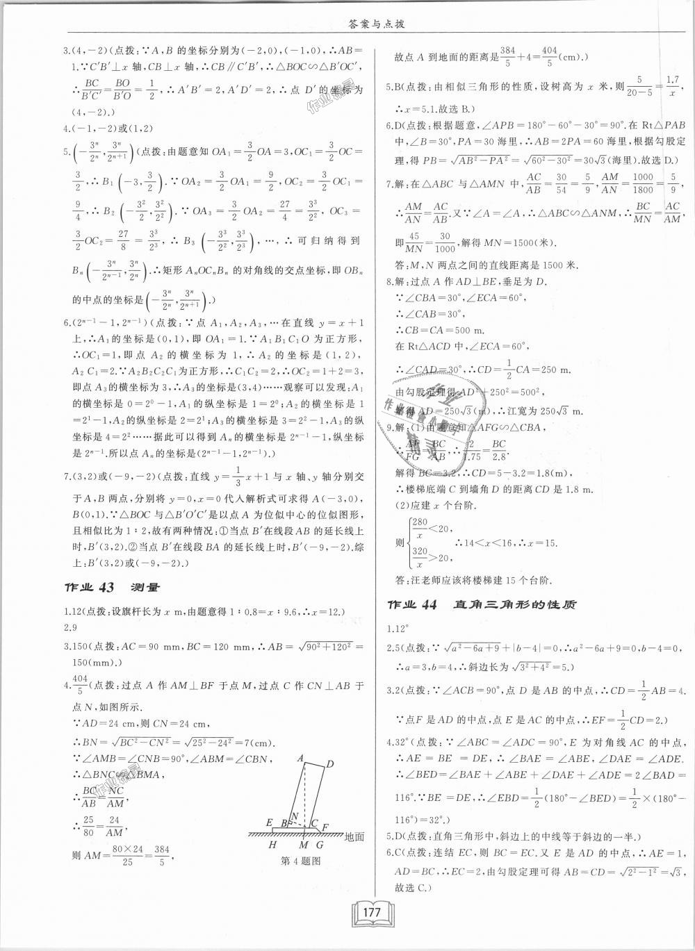 2018年啟東中學(xué)作業(yè)本九年級(jí)數(shù)學(xué)上冊(cè)華師大版 第23頁(yè)