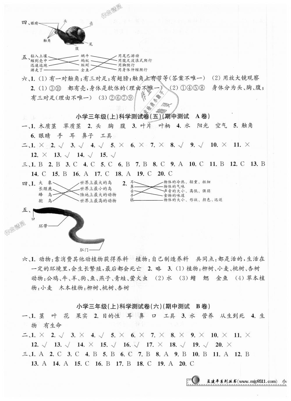 2018年孟建平小學(xué)單元測試三年級(jí)科學(xué)上冊教科版 第3頁