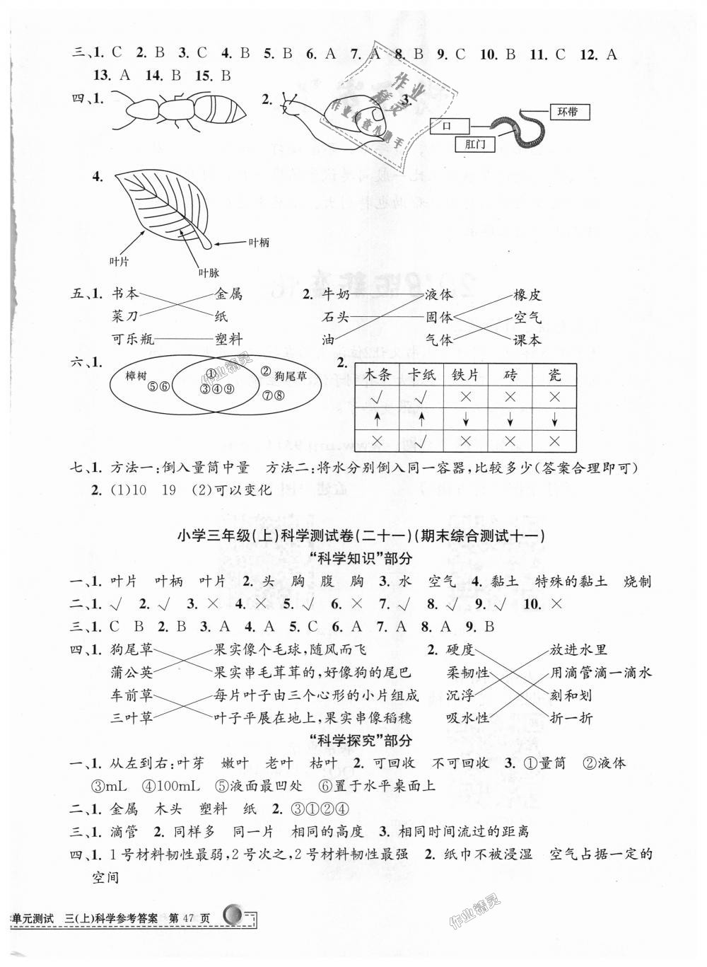 2018年孟建平小学单元测试三年级科学上册教科版 第10页