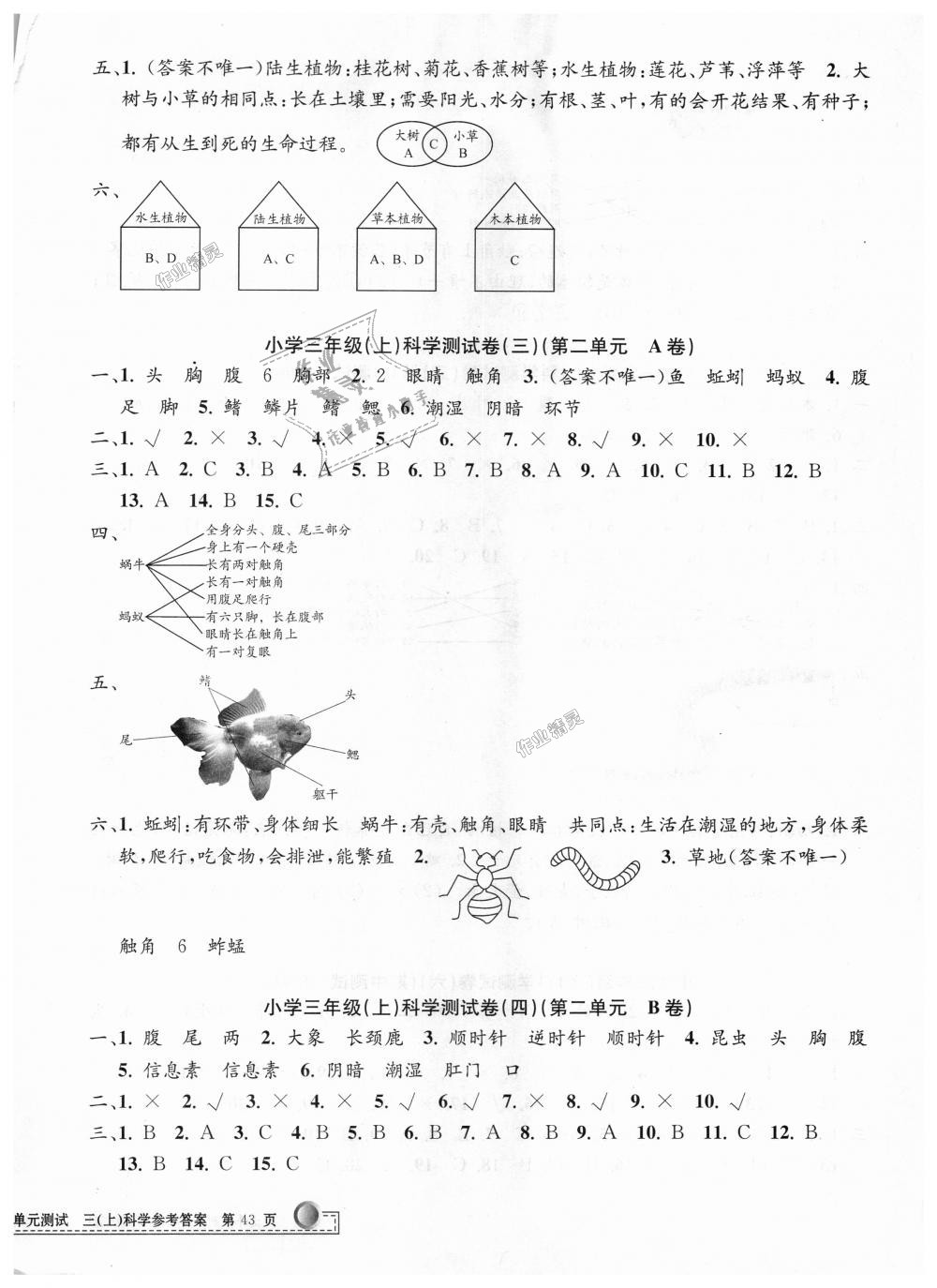 2018年孟建平小學(xué)單元測(cè)試三年級(jí)科學(xué)上冊(cè)教科版 第2頁(yè)