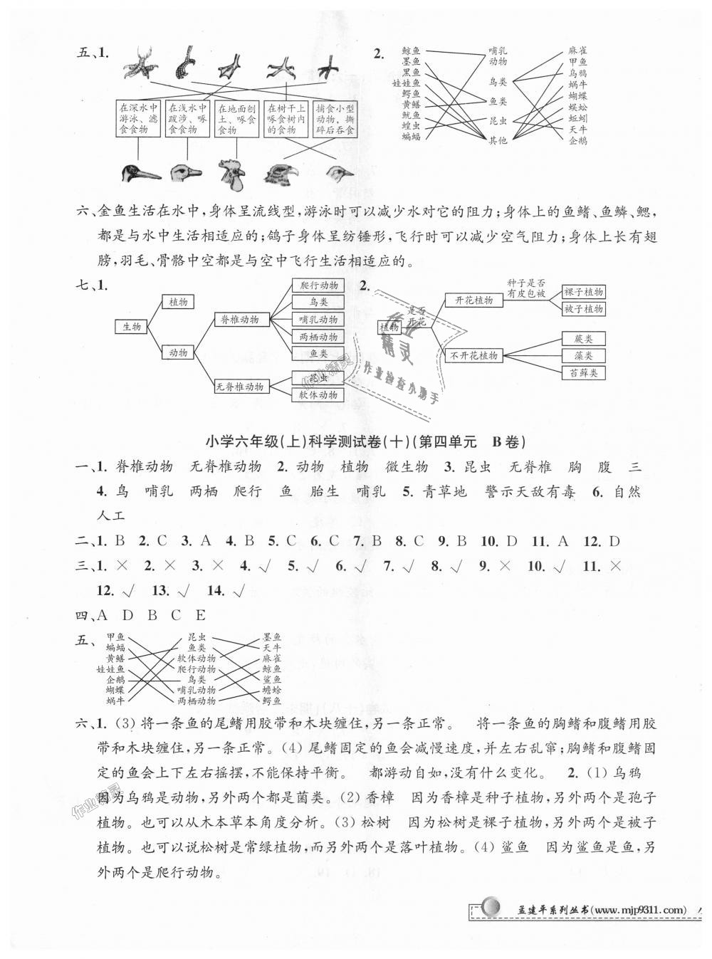 2018年孟建平小學(xué)單元測(cè)試六年級(jí)科學(xué)上冊(cè)教科版 第5頁(yè)