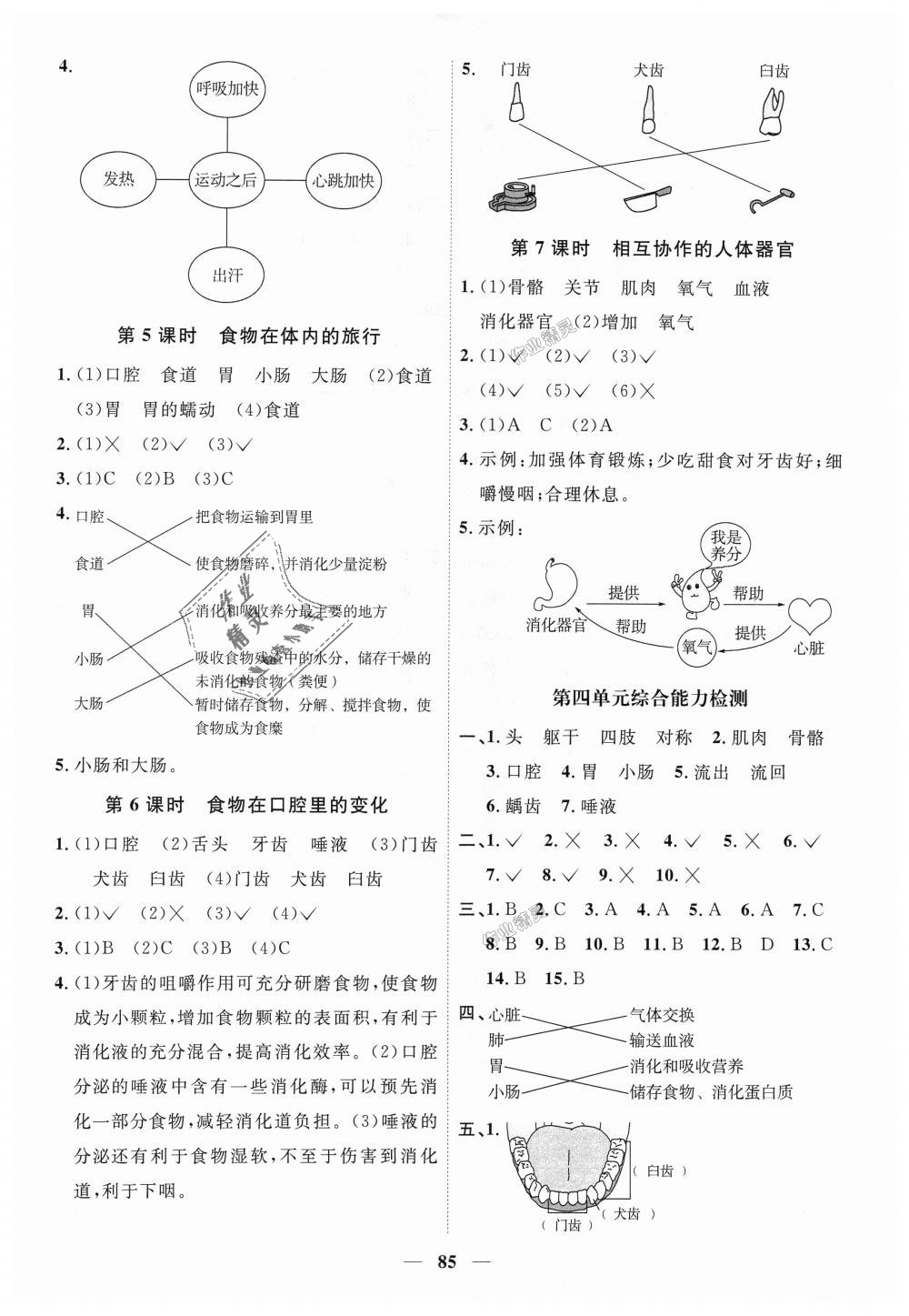 2018年陽(yáng)光同學(xué)課時(shí)優(yōu)化作業(yè)四年級(jí)科學(xué)上冊(cè)教科版 第7頁(yè)