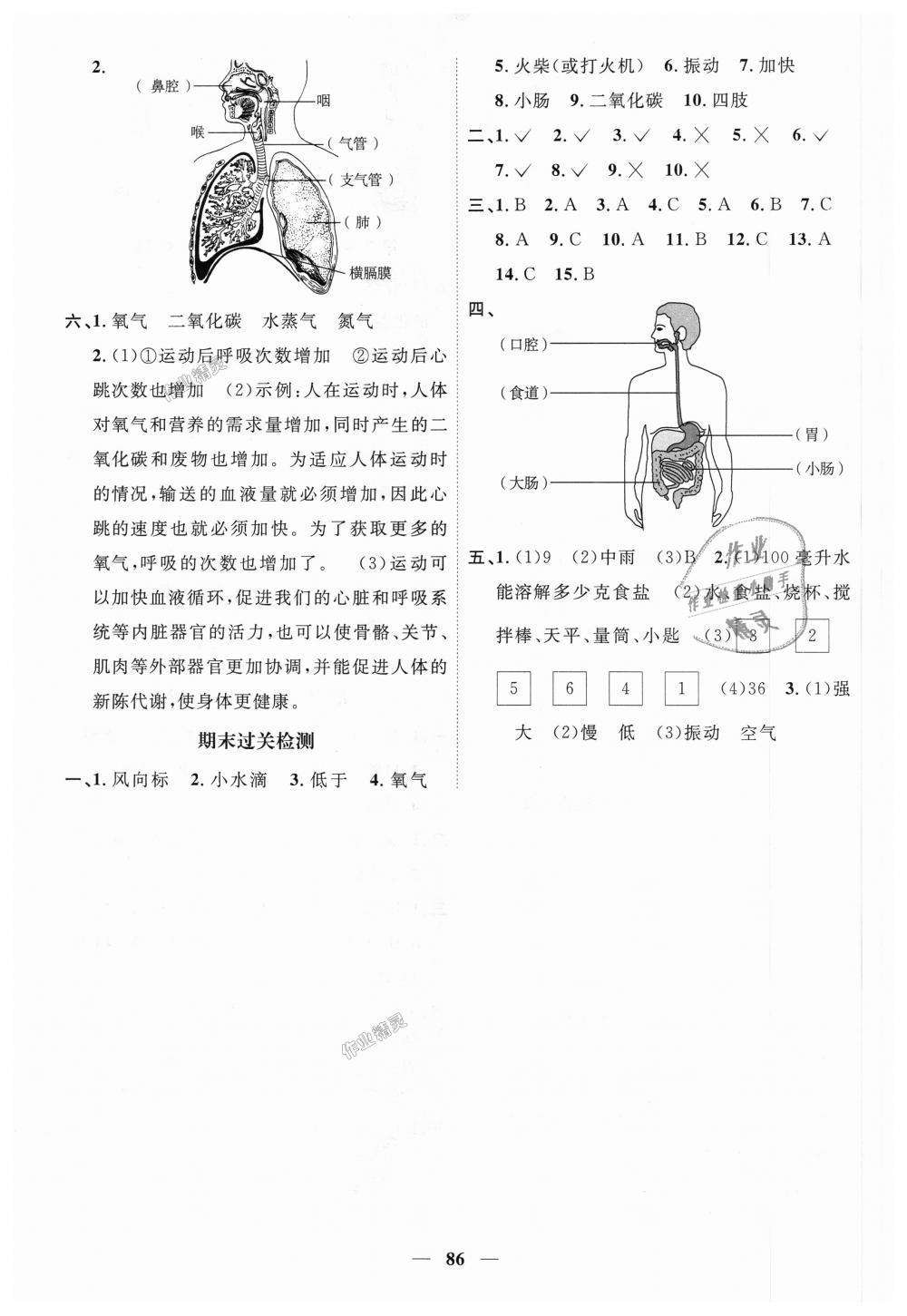 2018年陽光同學課時優(yōu)化作業(yè)四年級科學上冊教科版 第8頁