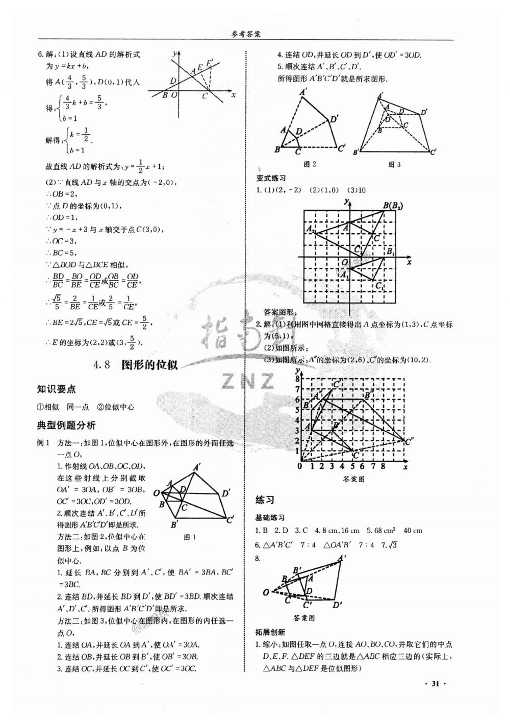 2018年指南针高分必备九年级数学上册北师大版 第31页