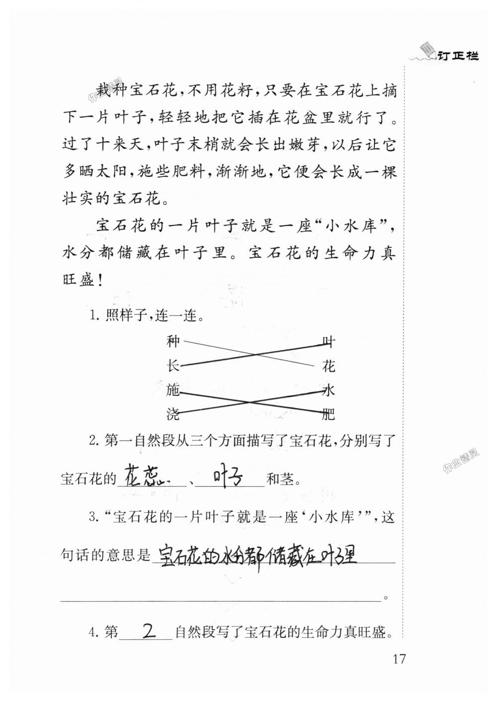 2018年小學(xué)語文補(bǔ)充習(xí)題三年級上冊蘇教版江蘇鳳凰教育出版社 第17頁