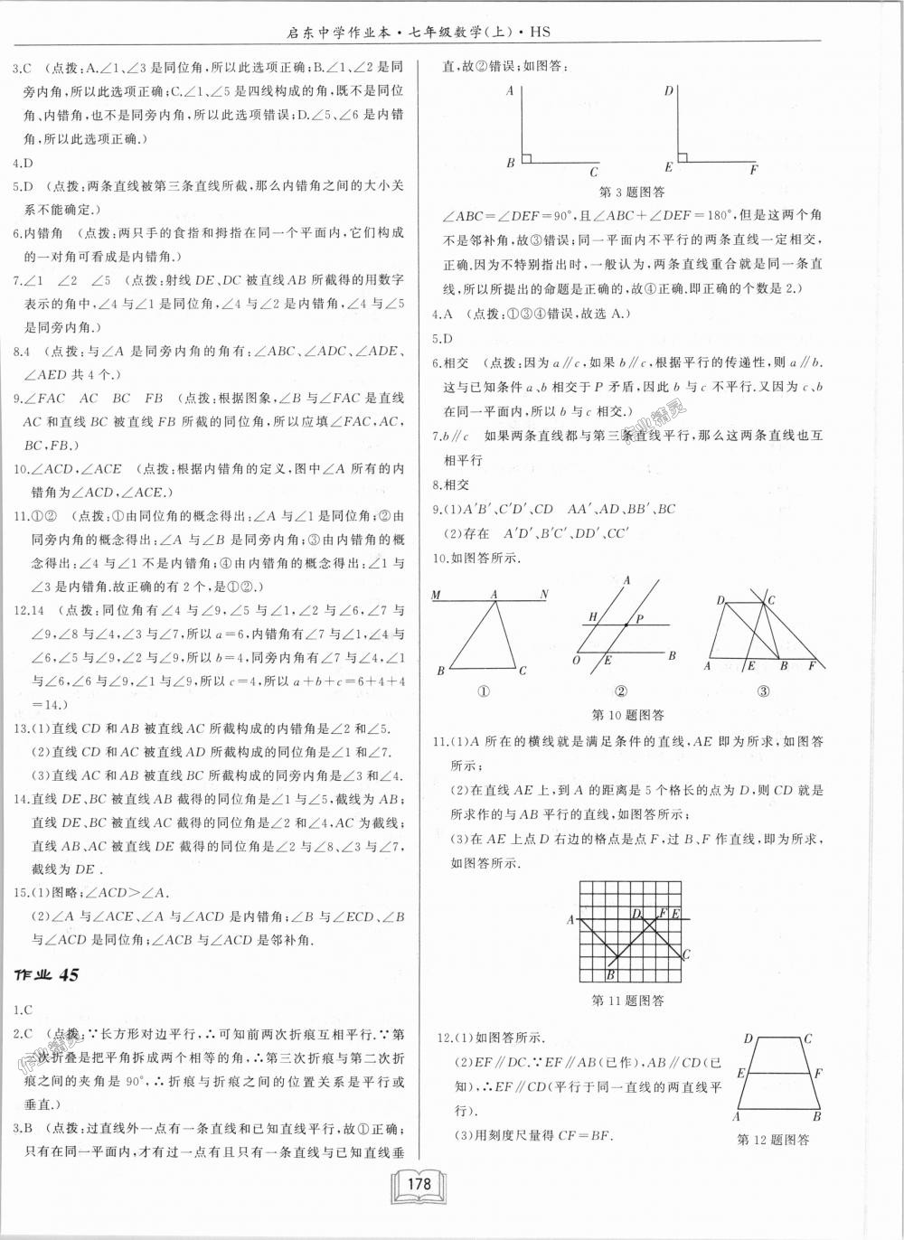 2018年启东中学作业本七年级数学上册华师大版 第28页