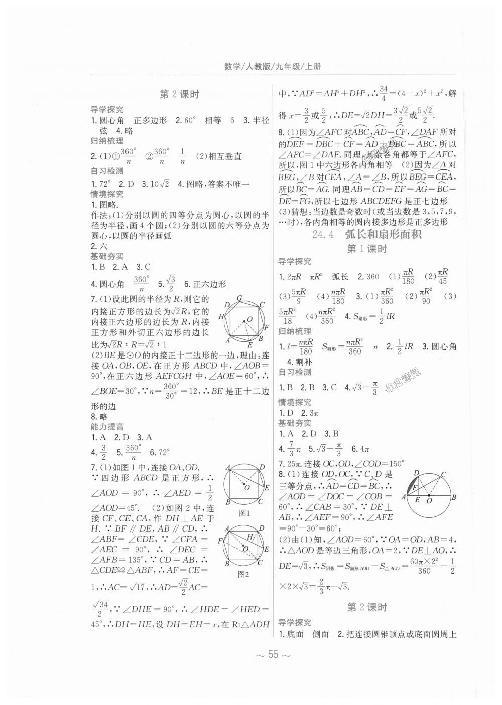 2018年新編基礎(chǔ)訓(xùn)練九年級(jí)數(shù)學(xué)上冊(cè)人教版 第19頁(yè)