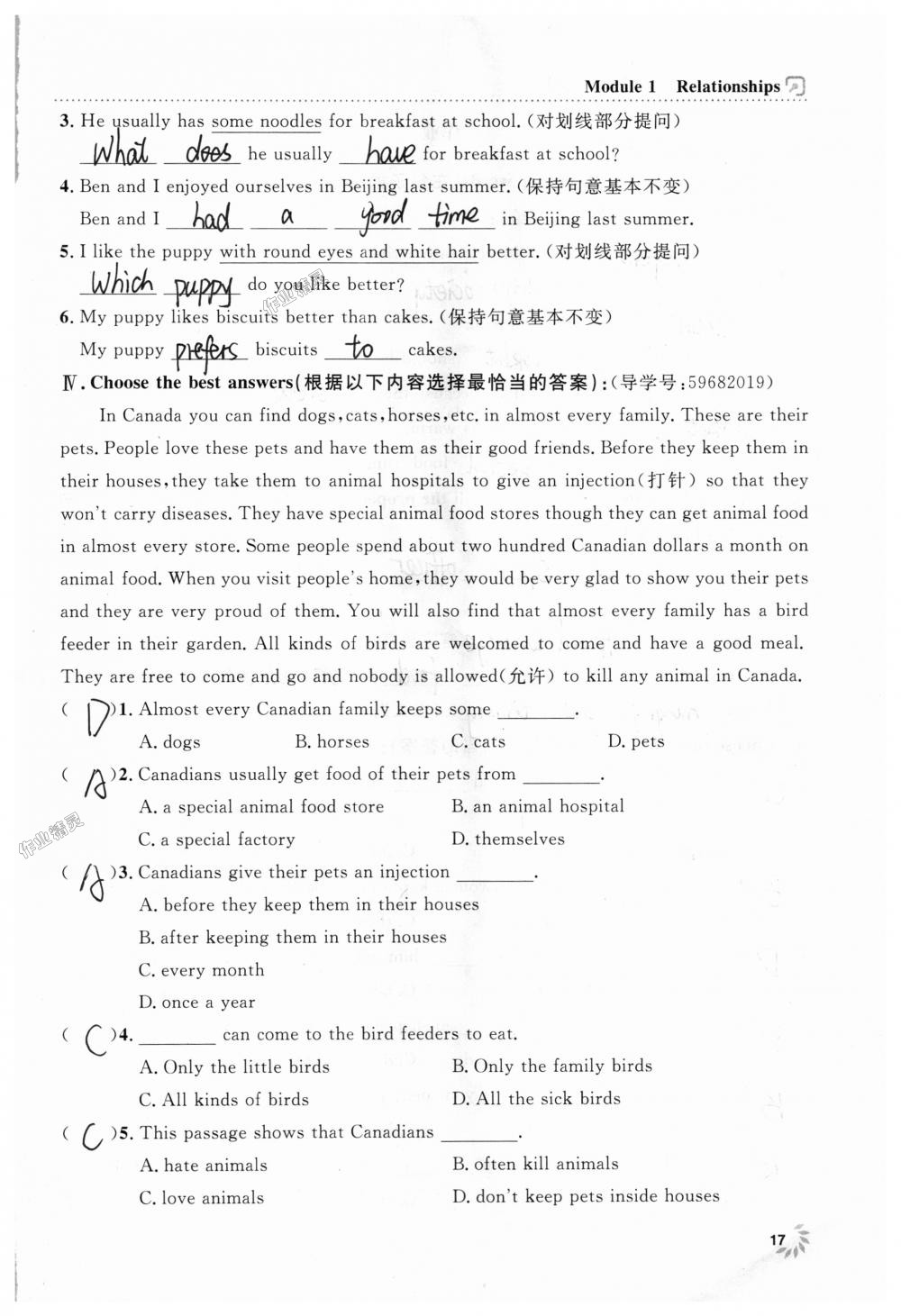 2018年上海作業(yè)七年級(jí)英語(yǔ)上冊(cè)牛津版 第17頁(yè)