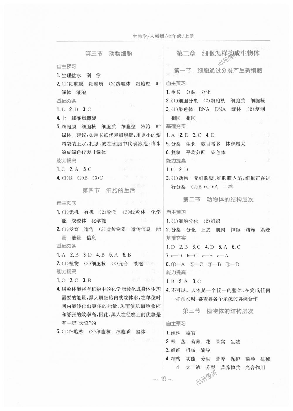 2018年新编基础训练七年级生物学上册人教版 第3页