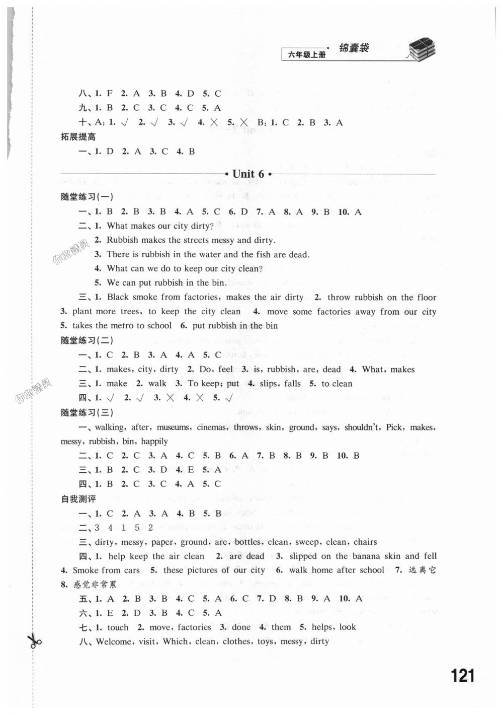 2018年同步练习六年级英语上册译林版江苏凤凰科学技术出版社 第19页