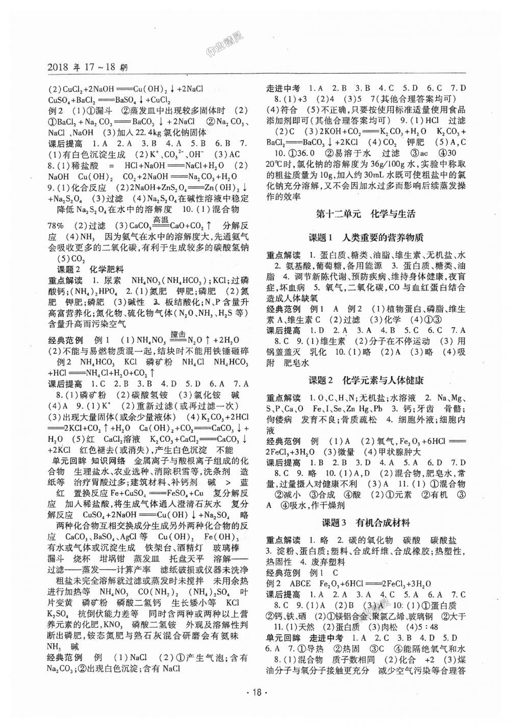 2018年理科愛好者九年級化學(xué)全一冊第17-18期人教版 第17頁