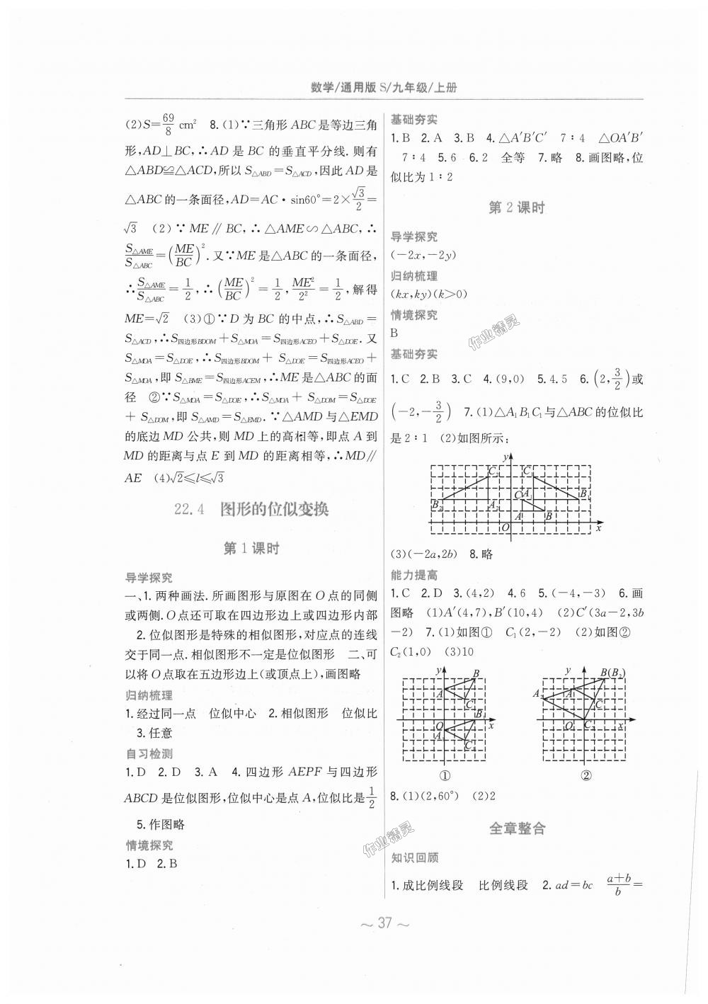 2018年新編基礎(chǔ)訓(xùn)練九年級(jí)數(shù)學(xué)上冊(cè)滬科版通用版S 第17頁(yè)