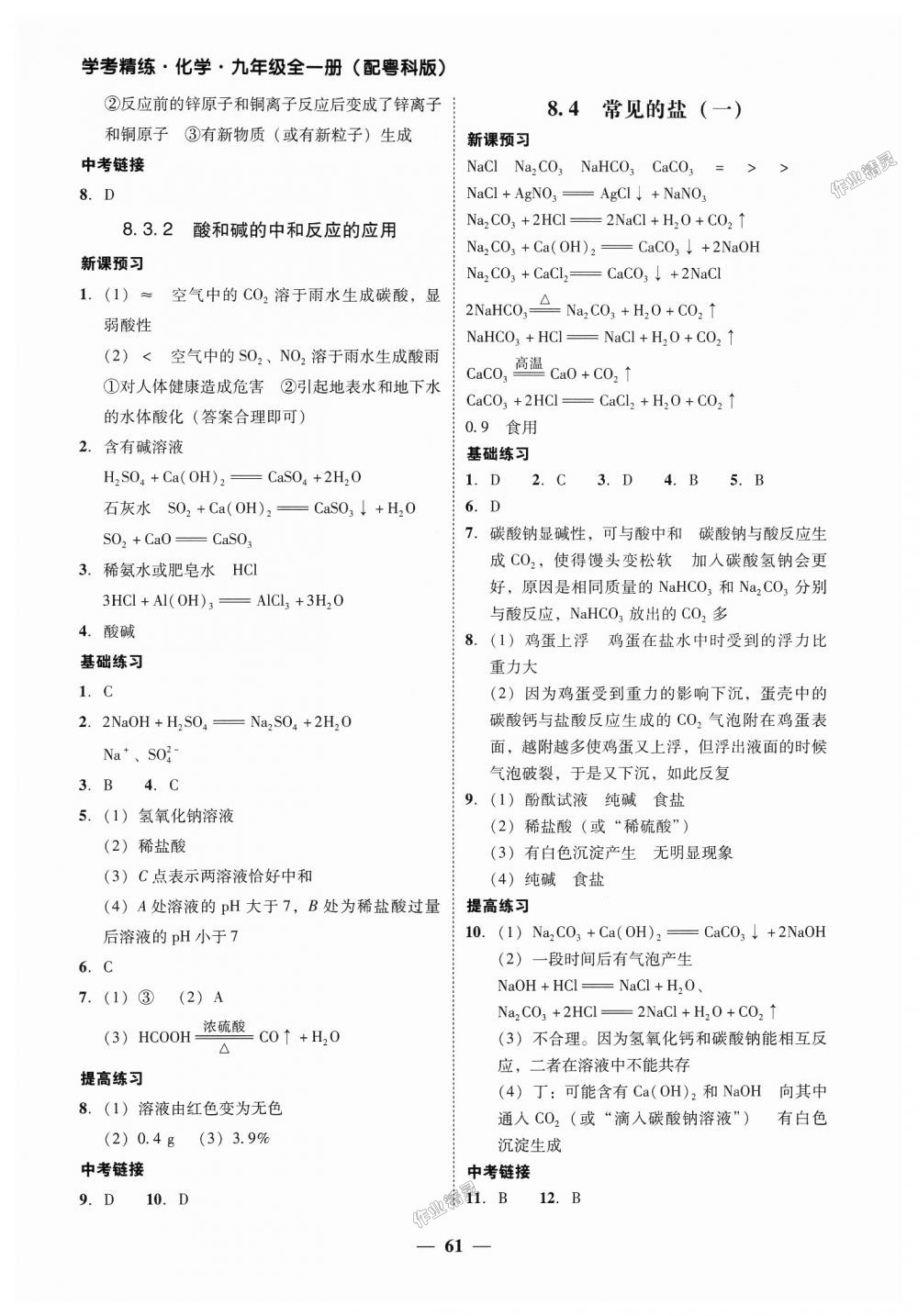 2018年南粤学典学考精练九年级化学全一册粤科版 第21页