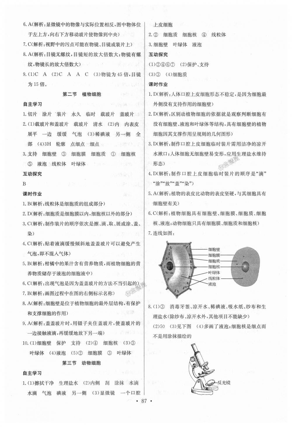 2018年长江全能学案同步练习册七年级生物学上册人教版 第5页