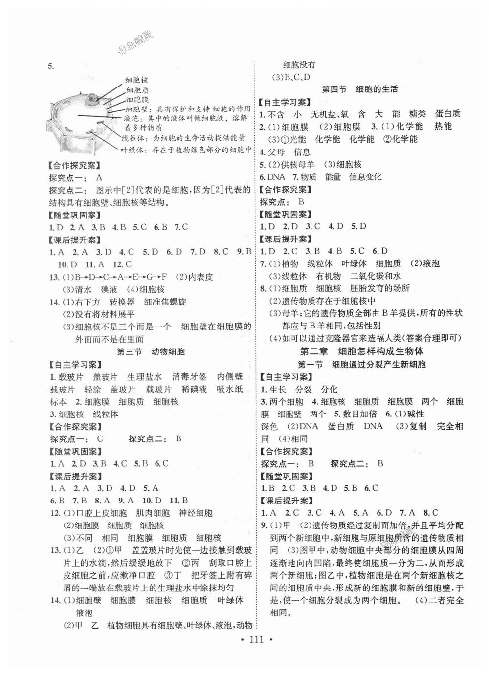 2018年课堂导练1加5七年级生物上册人教版 第3页