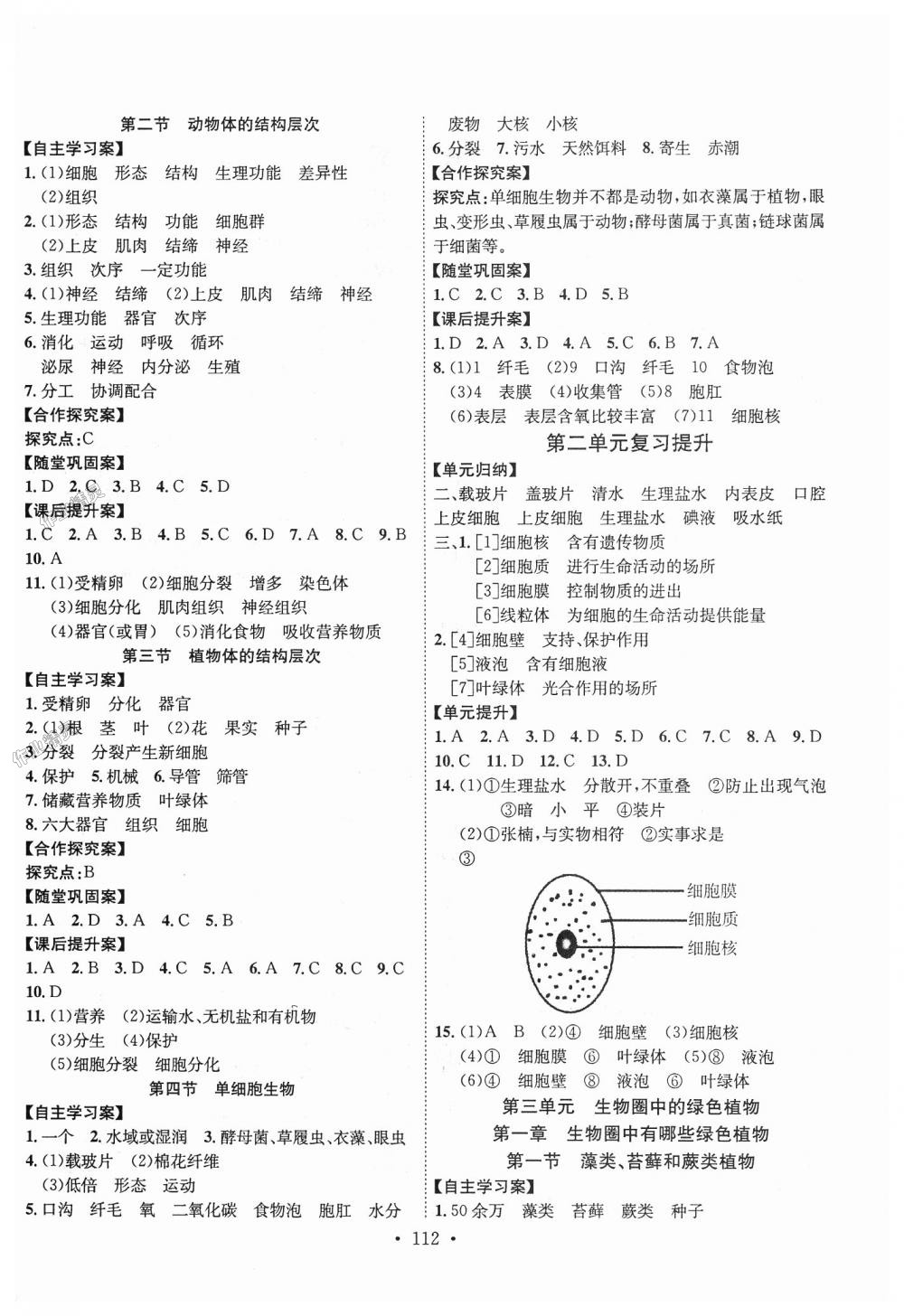 2018年課堂導(dǎo)練1加5七年級(jí)生物上冊(cè)人教版 第4頁(yè)