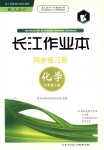 2019年長江作業(yè)本同步練習冊九年級化學上冊人教版