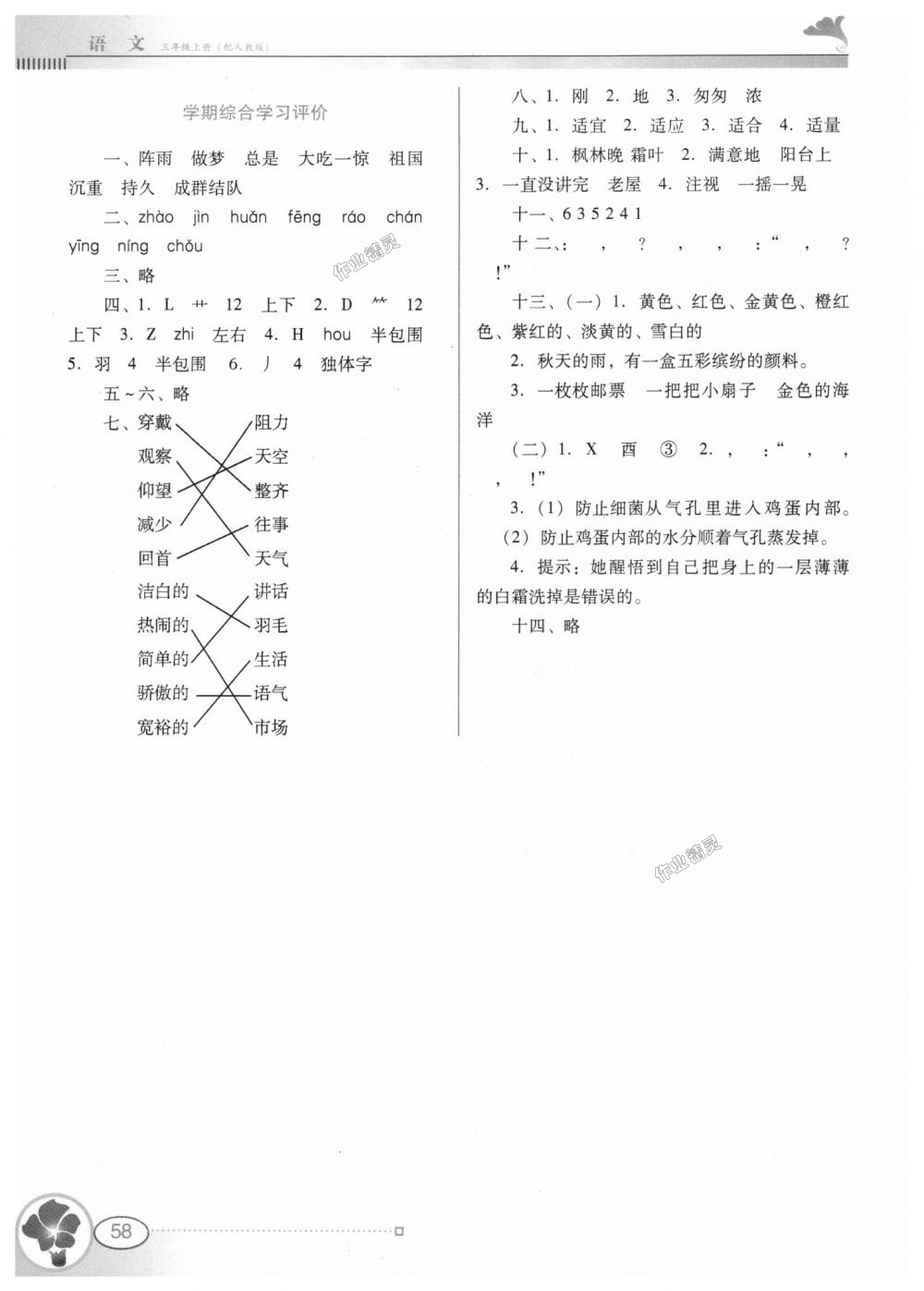 2018年南方新课堂金牌学案三年级语文上册人教版 第7页